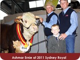 erniesydroyal11